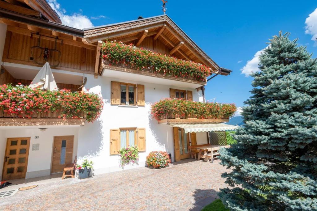Appartamento Mansarda Patrizia E Franco Val Di Sole Commezzadura Dış mekan fotoğraf