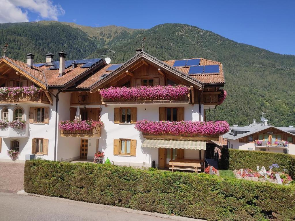 Appartamento Mansarda Patrizia E Franco Val Di Sole Commezzadura Dış mekan fotoğraf